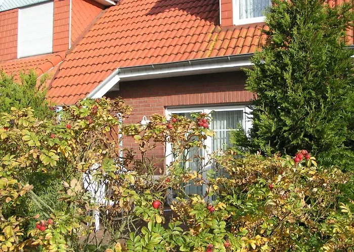 Sieleck 多纳莫塞尔